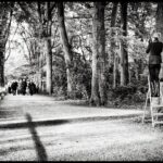 Black and white photo of a wooded path. A man stands on a ladder taking pictures, assisted by another. A group of people is gathered in the distance. Tall trees line both sides of the path, and sunlight filters through, casting shadows on the ground.