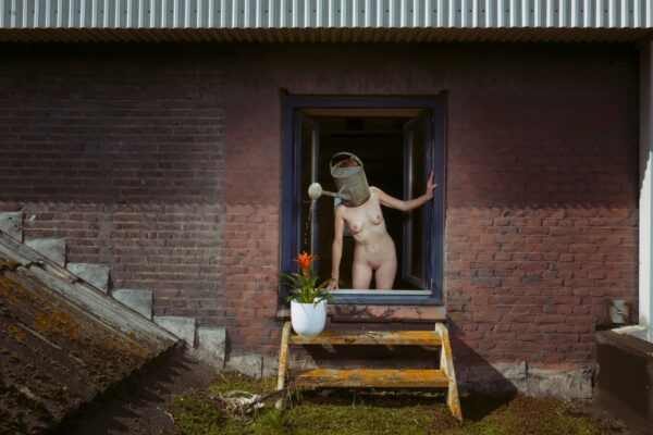 A naked person with a watering can on their head leans out of a window, watering a potted plant on a wooden step. The scene is set against a brick wall with a corrugated metal roof and moss-covered surfaces.