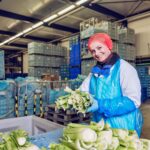 A worker in a protective blue apron, gloves, and a red hair net, smiles while handling fresh celery in a large industrial warehouse filled with stacked crates and boxes. The facility is well-lit with overhead lights and has a clean, organized appearance.