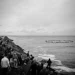 Black and white photo of people gathered on a rocky shoreline, overlooking the sea. In the distance, a large group forms a circle in the water. The sky is overcast. Spectators stand or sit along the shore, observing the scene.