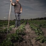 A person stands confidently in a field of crops, holding a long-handled hoe. The sky is slightly overcast, casting a muted light over the scene. The person is wearing a short-sleeved shirt, jeans, and boots, and appears to be surveying the farmland.