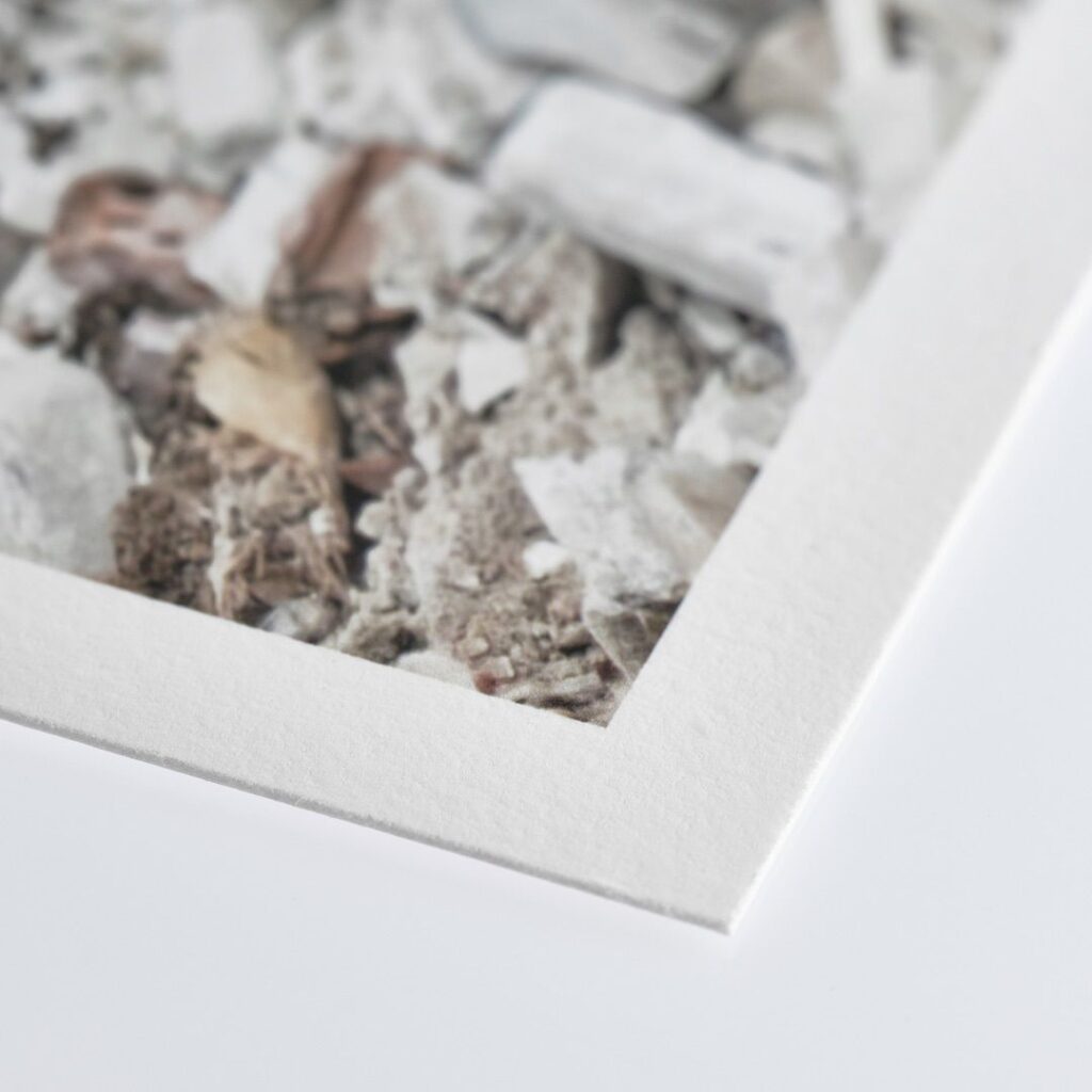 Close-up of the corner of a photograph with a white border on a white surface. The photograph itself, captured on fine print papers, features a textured background with items like dried leaves and small rocks.